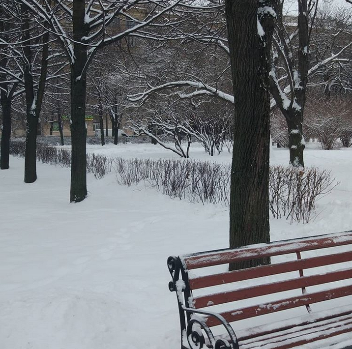 Снежная сказка: Петербуржцы делятся зимними фото в Instagram. Фото Скриншот Instagram: @tatiana_burchevskaya