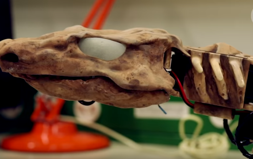 Инженеры оживили скелет существа, жившего 290 млн лет назад: Видео. Фото Скриншот Youtube