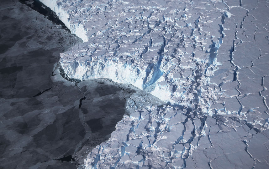 Под льдами Антарктиды обнаружена жизнь. Фото Getty