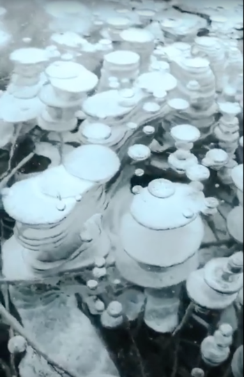 Замёрзшие пузырьки метана. Фото Скриншот/ Social Vira Video, Скриншот Youtube