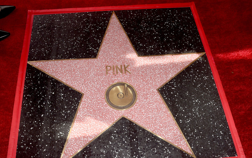 У Пинк появилась именная звезда на Аллее славы в Голливуде. Фото Getty