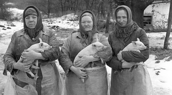 Одна из работ Юрия Роста под названием Одна из работ Юрия Роста под названием