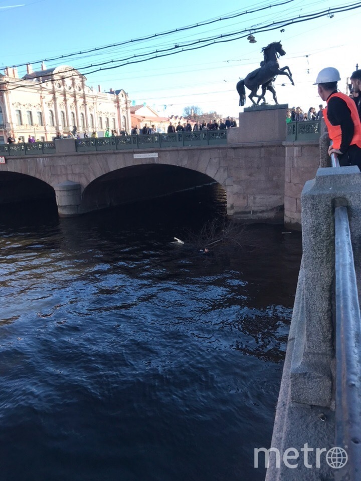 Фото аничкого моста в петербурге