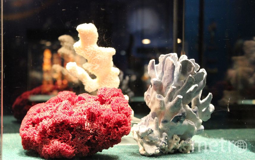 Коралл, янтарь, жемчуг. Фото Дарья Есенина, "Metro"