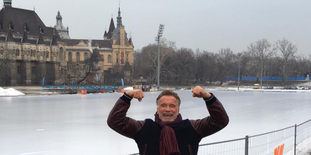 Арнольд Шварценеггер. Арнольд Шварценеггер.