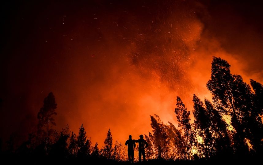 На борьбу с огнем в регион отправлены сотни пожарных. Фото AFP