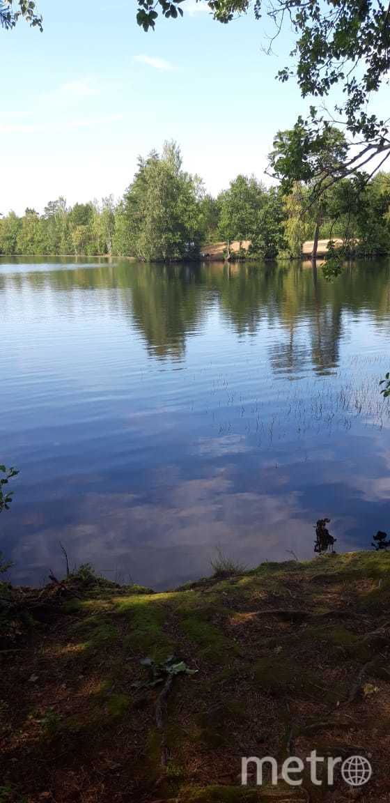 Фото с места ЧП на озере Фигурное. Фото https://vk.com/lenobl.sledcom?w=wall-132217757_2501, 