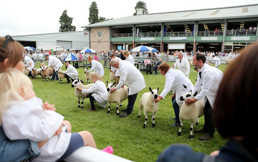 Royal Welsh Show-2019.  Getty