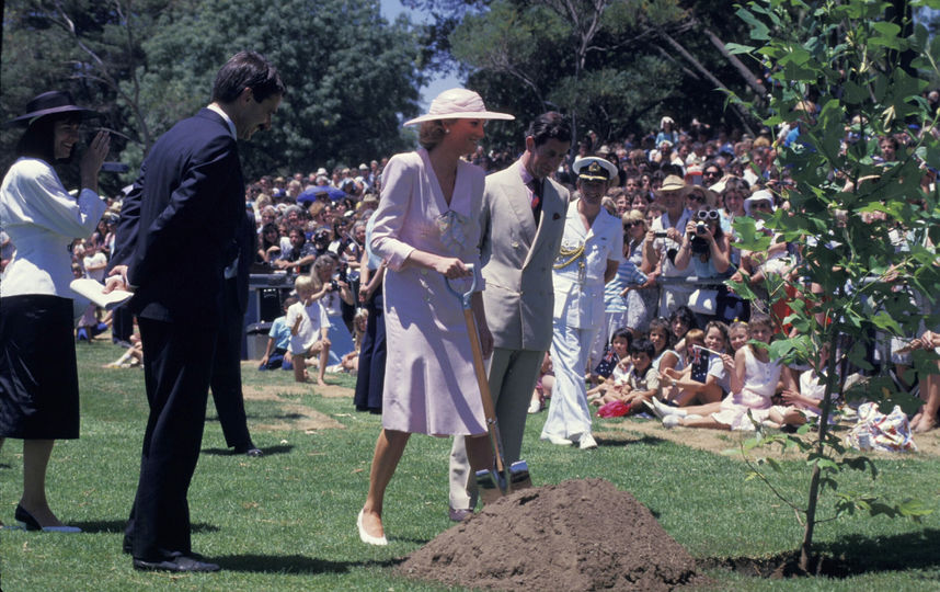 Принцесса Диана и принц Чарльз Яркие фото и факты к