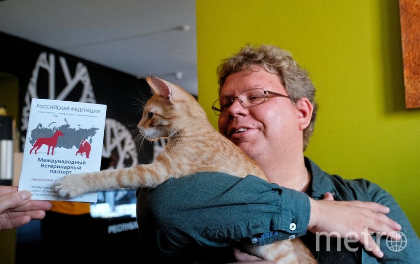 Музыкант Киммо Пуунена и эрмитажный кот Николай. Фото Алена Бобрович, "Metro"
