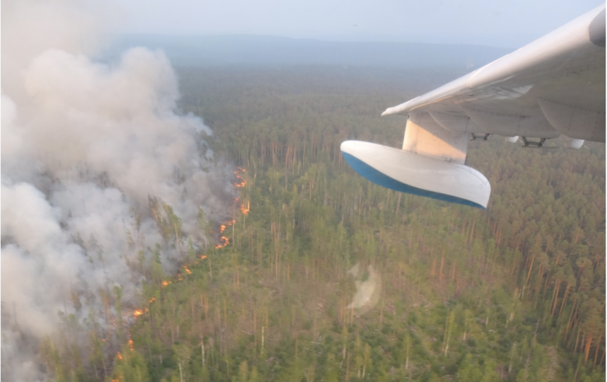 Следователи и криминалисты из Москвы направлены расследовать причины лесных пожаров в Сибири