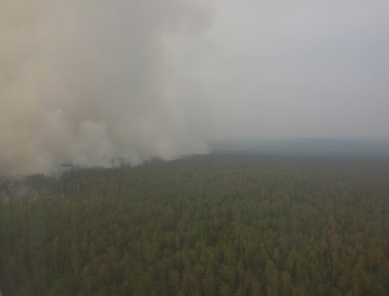 Карта лесных пожаров богучанский район