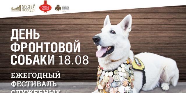Узнать о подвигах четвероногих в годы войны можно будет 18 августа. Узнать о подвигах четвероногих в годы войны можно будет 18 августа.