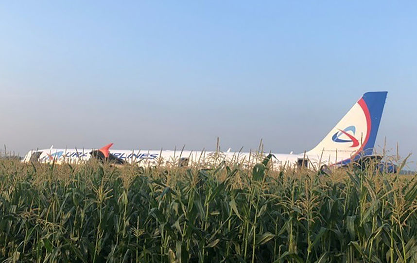 Воздушное судно совершило аварийную посадку в кукурузном поле. Фото AFP