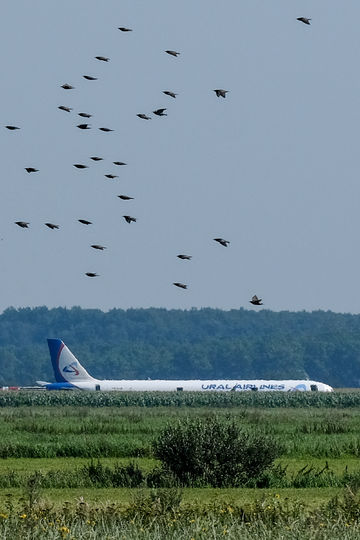 На борту находились 226 пассажиров и 7 членов экипажа. Фото AFP На борту находились 226 пассажиров и 7 членов экипажа. Фото AFP