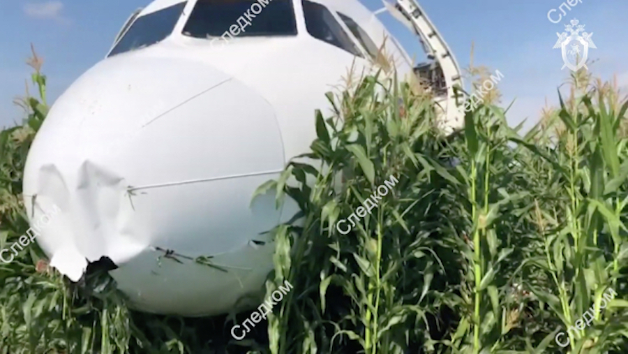 Судно совершило аварийную посадку в кукурузном поле в районе деревни Рыбаки Московской области. Фото РИА Новости