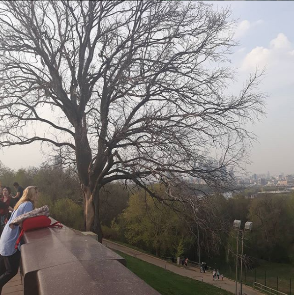 Туристы часто делали фото на фоне дерева из "Бригады". Фото скриншот instagram.com/leonid_s_ivanov/