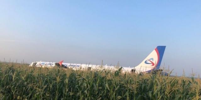 Самолёт Airbus A321 посреди кукурузного поля. Самолёт Airbus A321 посреди кукурузного поля.