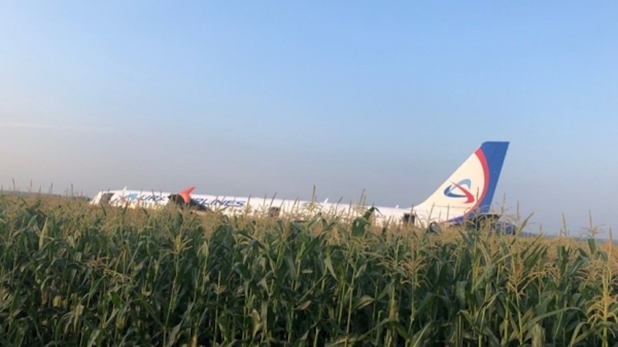 Самолёт Airbus A321 посреди кукурузного поля. Фото РИА Новости