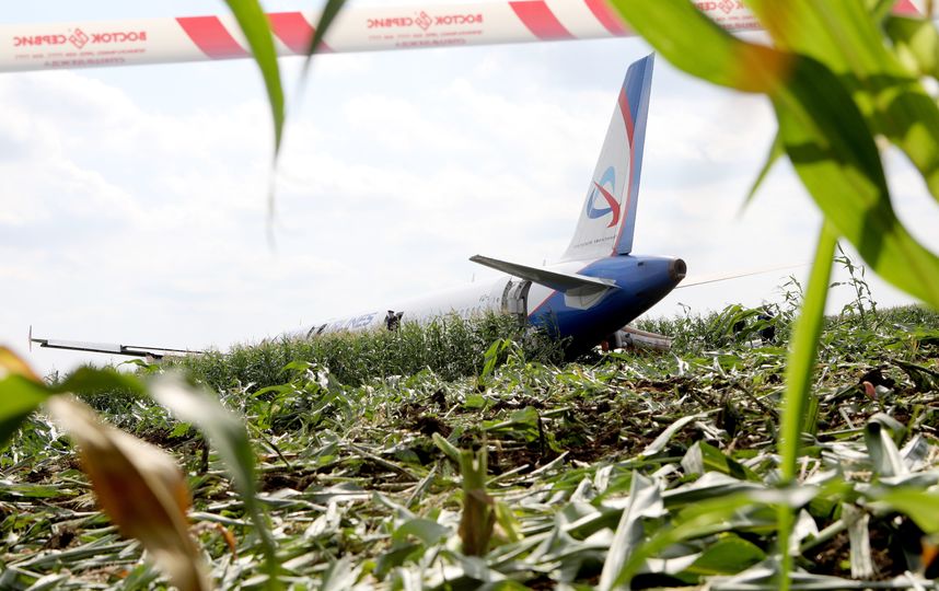 Самолёт авиакомпании "Уральские авиалинии", выполнявший рейс Жуковский – Симферополь, совершил вынужденную посадку в кукурузном поле утром 15 августа. Фото AFP
