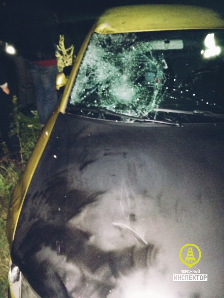В Ленобласти поймали водителя, сбившего насмерть подростка. Фото dorinspb, vk.com