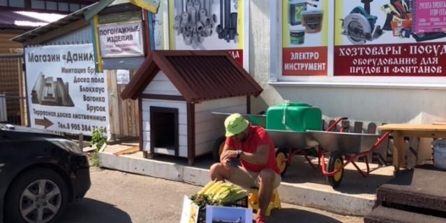 Илья Берников продаёт кукурузу. Илья Берников продаёт кукурузу.