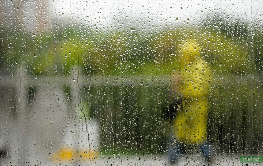 Первые выходные осени в Петербурге будут дождливыми. Фото Василий Кузьмичёнок