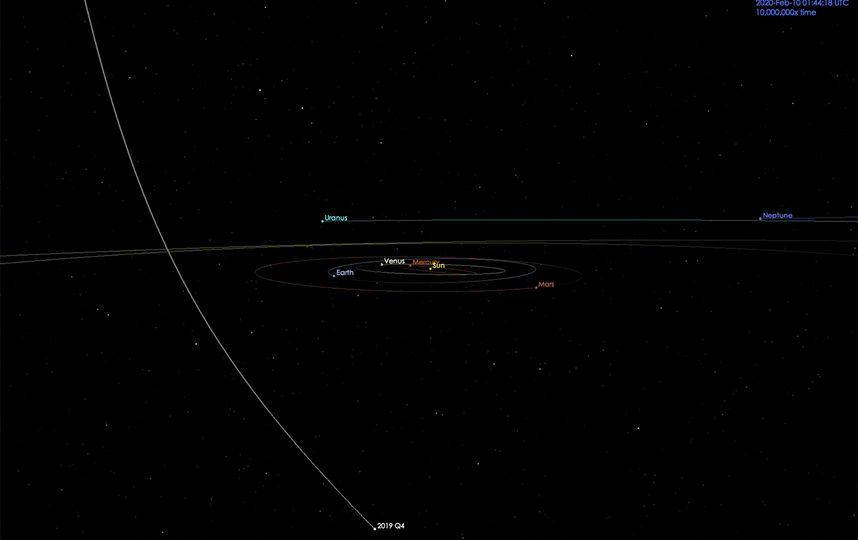 Орбита кометы. Фото NASA/JPL-Caltech