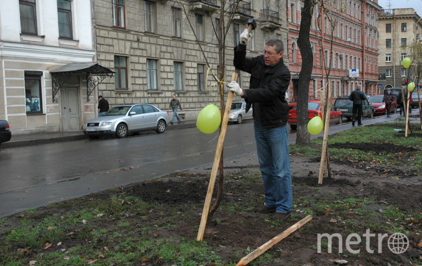 Скоро в Петербурге начнётся месячник благоустройства. Фото Святослав Акимов, "Metro"