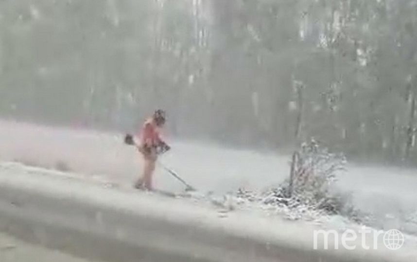 Кто косил траву в снегопад в Башкирии: видео обсуждают в Сети
