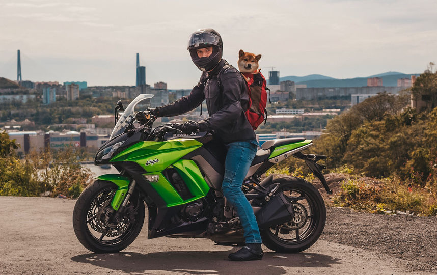 Деймос сопровождает хозяина и в поездках на мотоцикле. Фото предоставлено Владимиром Чернышовым
