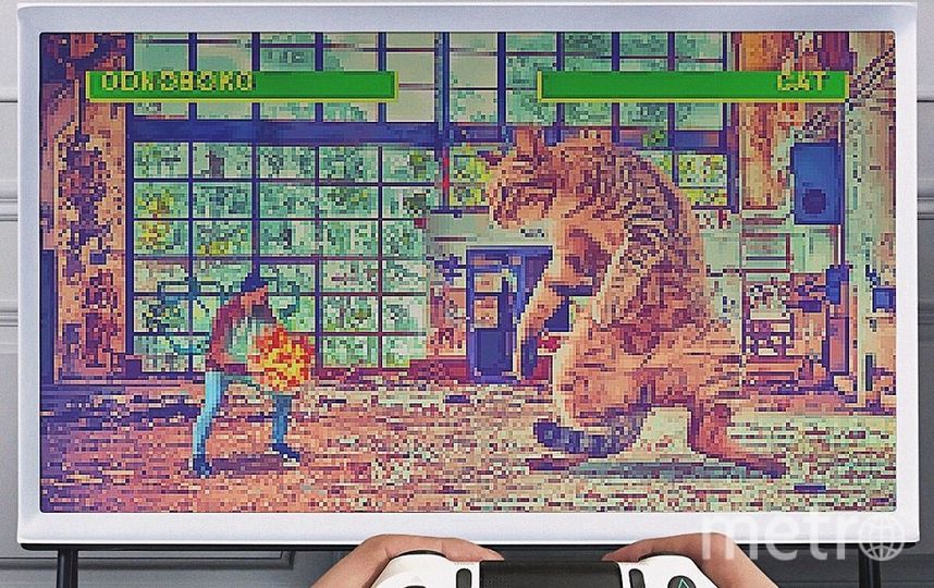 Даже в компьютерных играх встречаются гигантские коты. Фото Скриншот Instagram/odnoboko, "Metro"