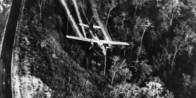Один из подвидов турбовинтового самолёта Fairchild – модель C-123 Provider. Один из подвидов турбовинтового самолёта Fairchild – модель C-123 Provider.