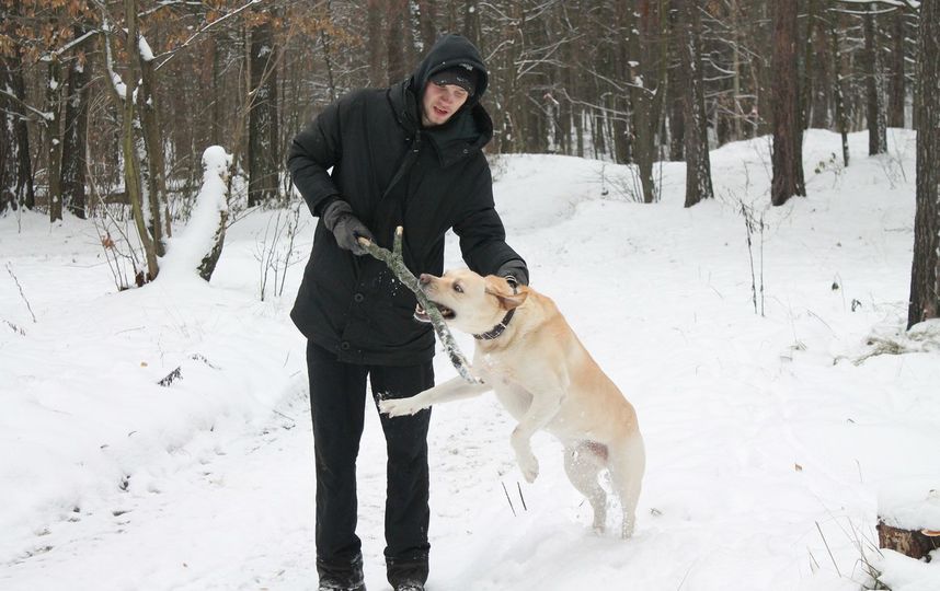 Ричард - самый верный и преданный друг на свете! Фото Иван, 