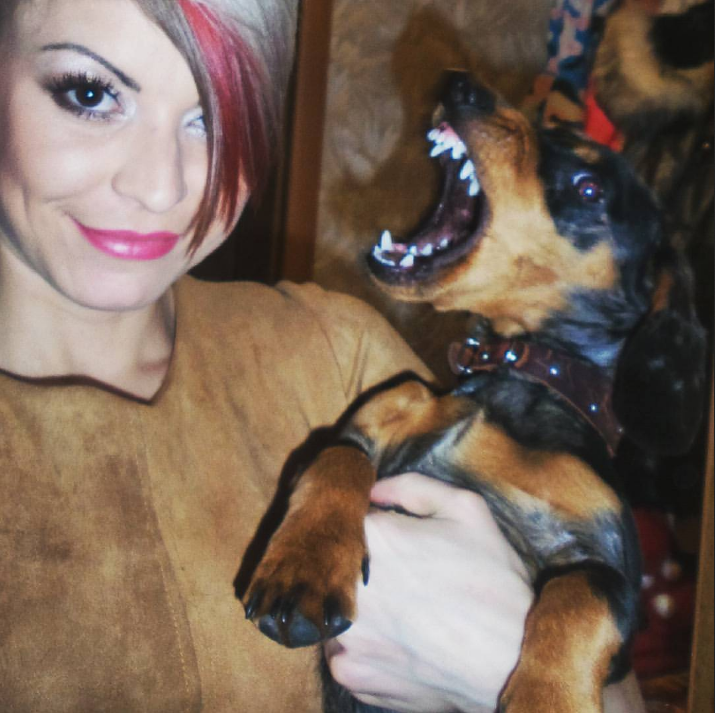 А это пёс-босс Марсель. Несмотря на устрашающий вид, он – 