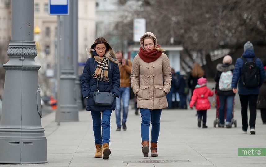 На следующей неделе в Москве ожидается похолодание на 5-6 градусов. Фото Василий Кузьмичёнок