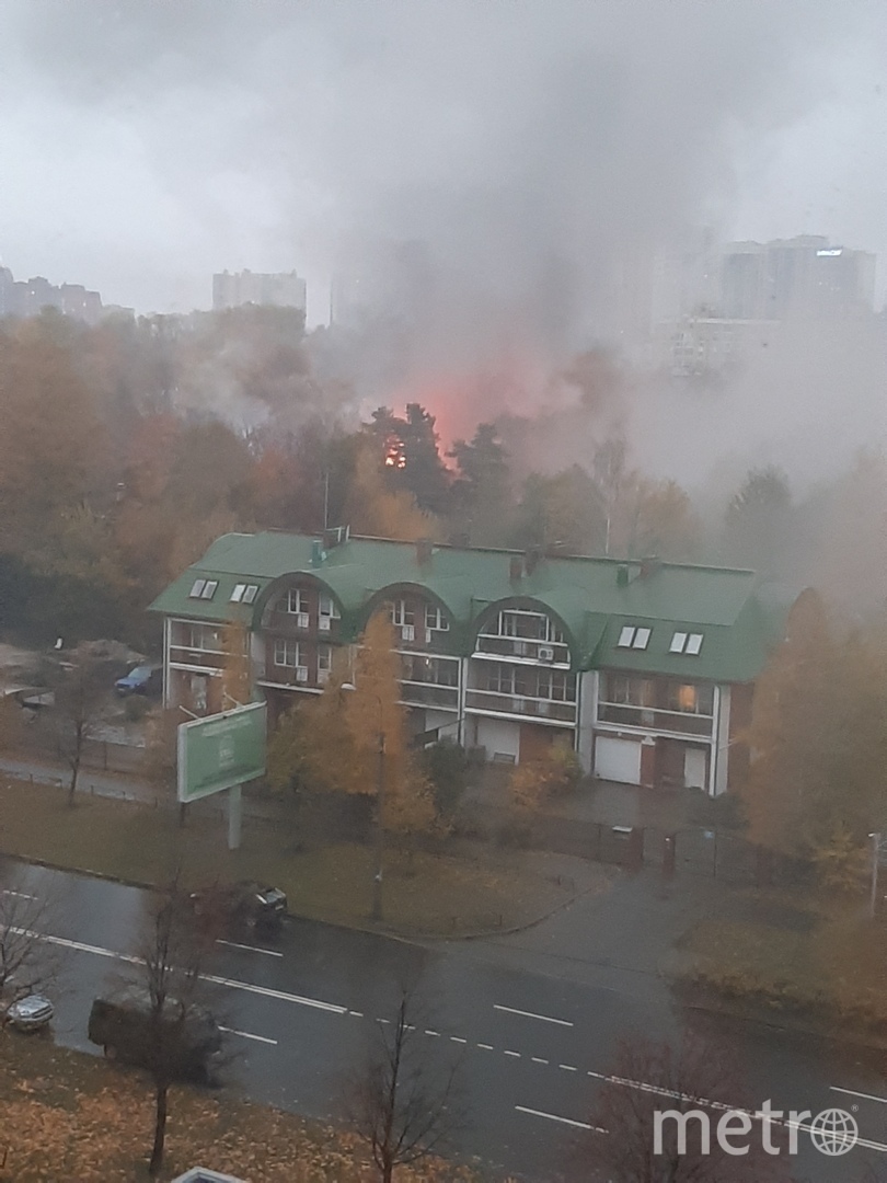 Полсотни спасателей тушили серьёзный пожар в Коломягах в Петербурге |  17.10.2019 | Санкт-Петербург - БезФормата