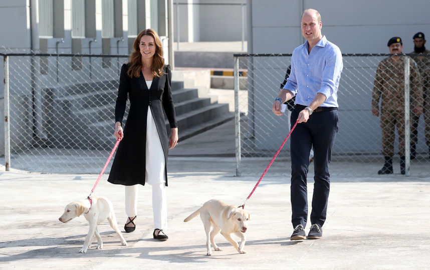 Кейт и Уильям и будущие собаки-сапёры Скай и Сальто. Фото Getty