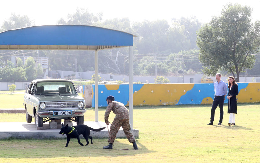 Исламабадский военный кинологический центр. Фото Getty