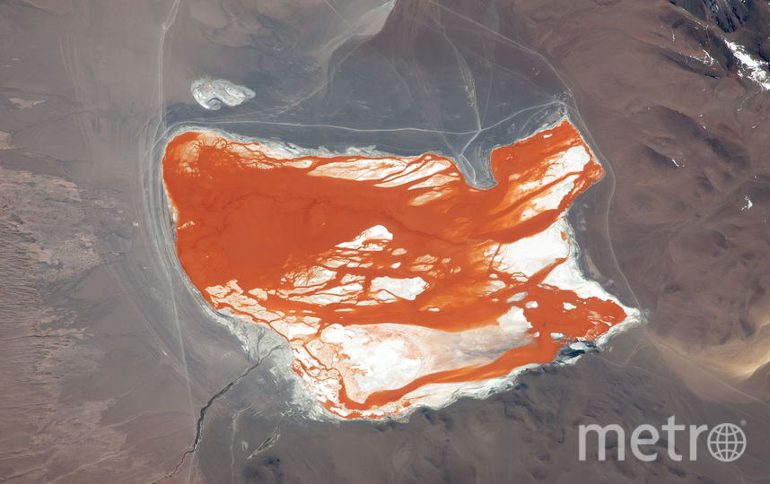 Красное озеро в Боливии. Фото Фёдор Юрчихин., "Metro"