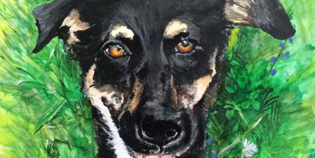 Работы Паши. Работы Паши.