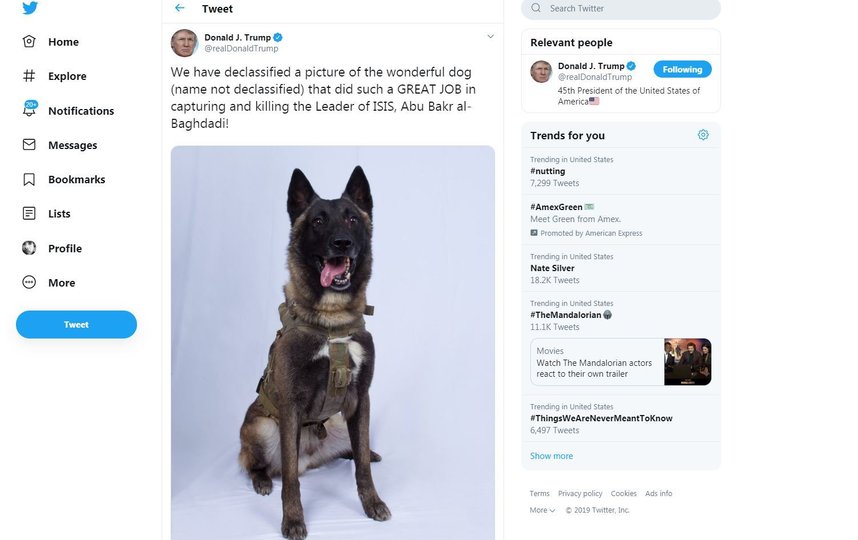 В Сети продолжают активно обсуждать пост Дональда Трампа в Twitter, который написал, что при ликвидации главаря террористической организации "Исламское государство" (запрещена в России) ключевую роль сыграла служебная собака. Фото AFP