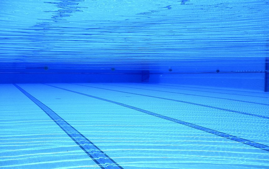 Запишитесь в бассейн. Фото Pixabay