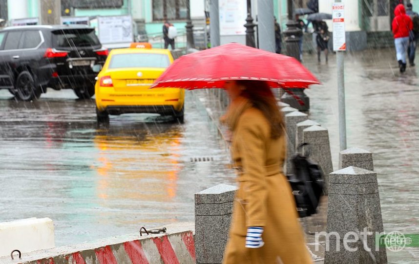 Синоптики рассказали, когда в Москве потеплеет
