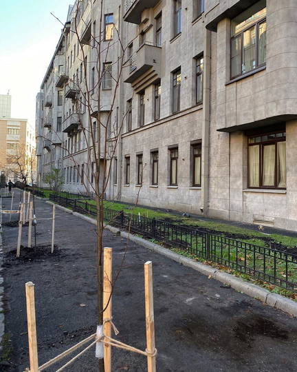 В Петербурге запустили "зелёный" проект для общественных пространств. Фото  instagram @plants_for_friends