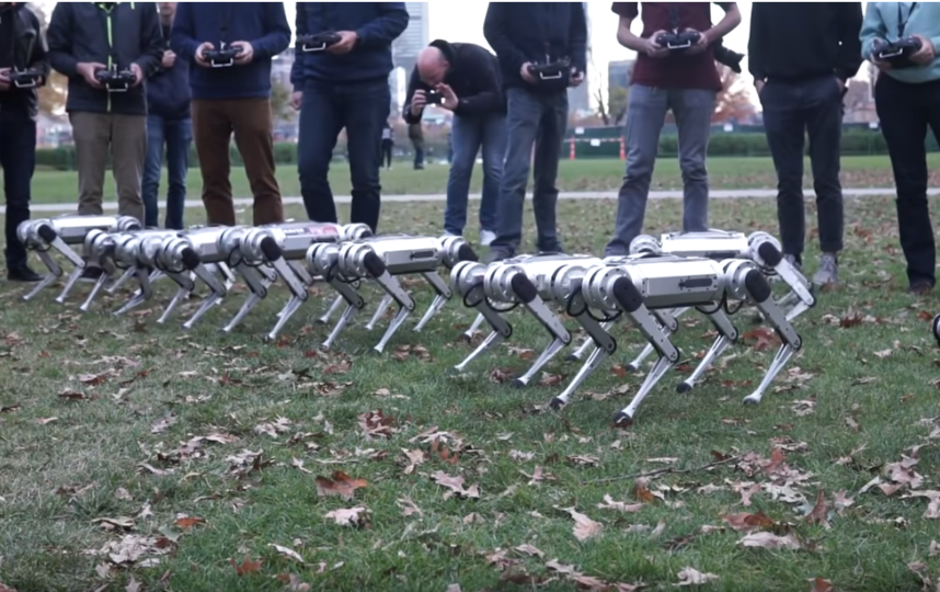 Девять роботов-собак устроили тренировку. Фото скриншот Youtube, "Metro"