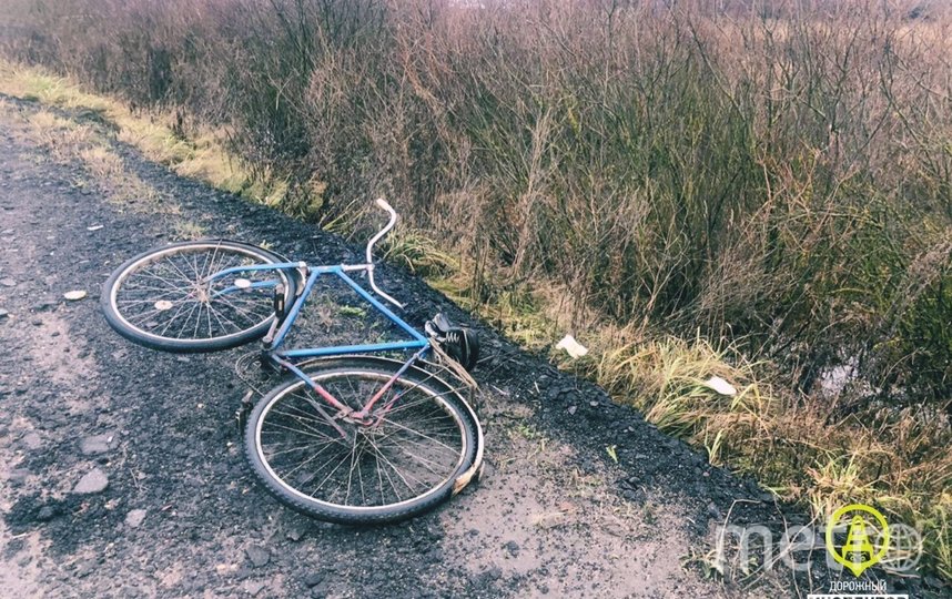 Велосипедист погиб под колесами грузовика под Гатчиной в Ленобласти
