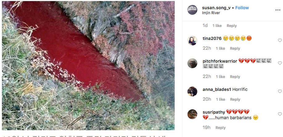 Река Имджинган в Южной Корее окрасилась в красный цвет. Фото скриншот @susan.song_v