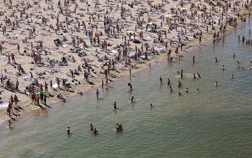 Пляж наутилус в новосибирске