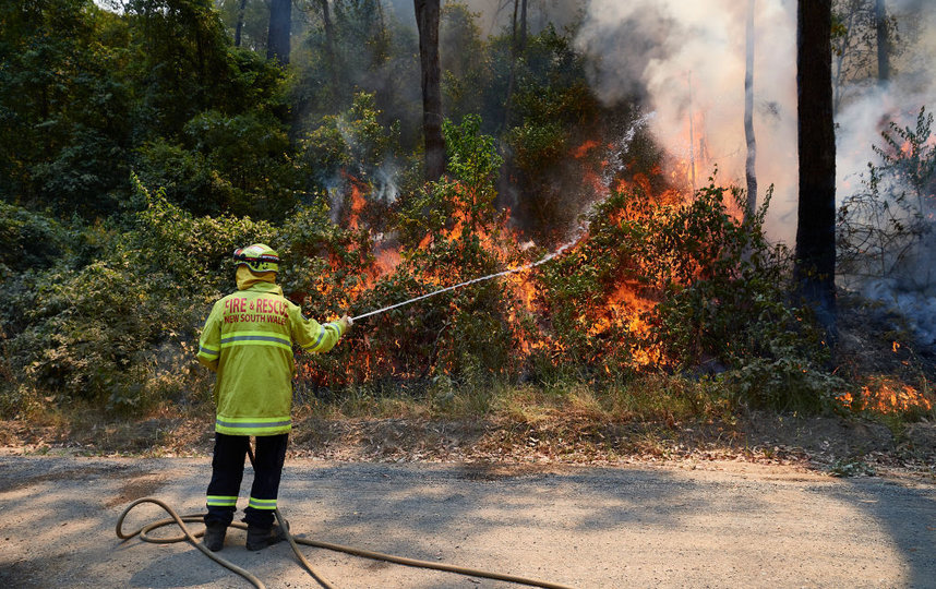 Пожары бушуют на юго-востоке Австралии. Фото Getty